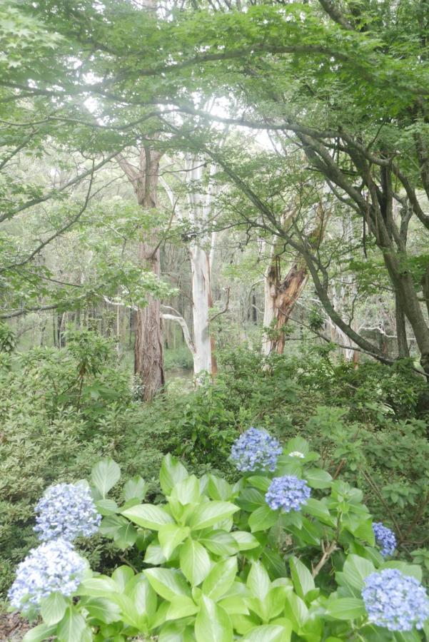 True North - 4Br Home & Garden In Bush Setting With Huge Bath Bilpin Экстерьер фото